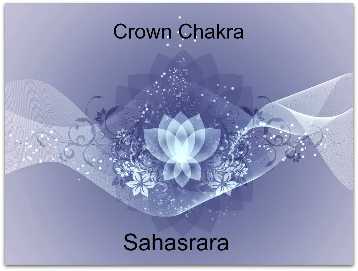 crown chakra lotus