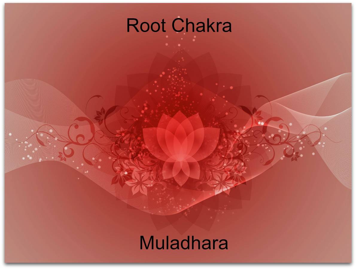 root chakra lotus