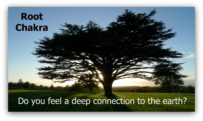 root chakra healing tree