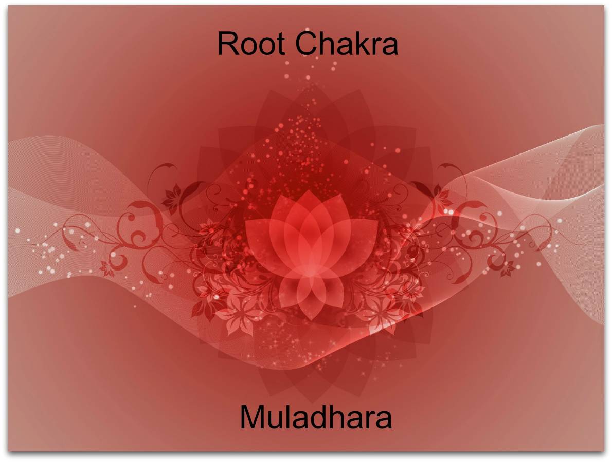 red chakra lotus