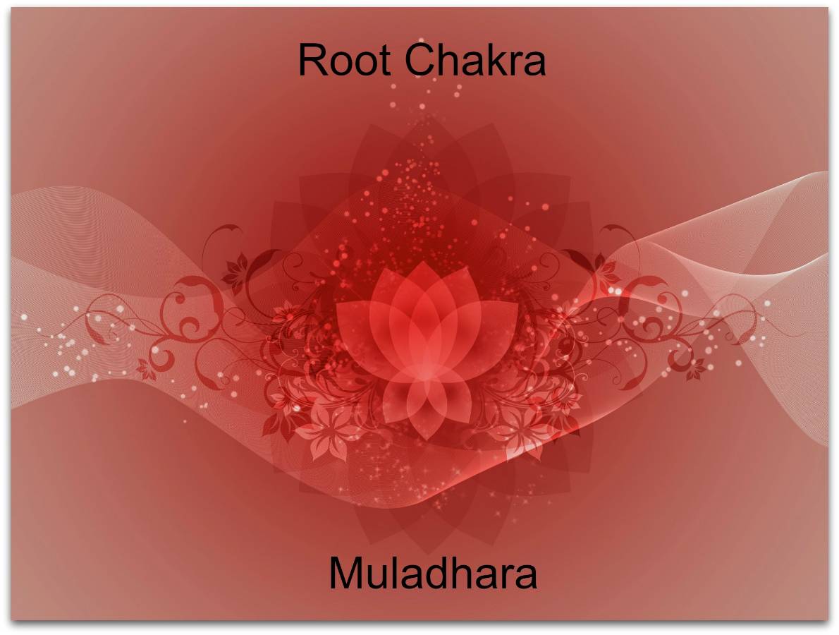 root chakra lotus